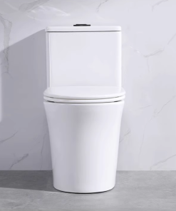 Bồn cầu 1 khối SA8002