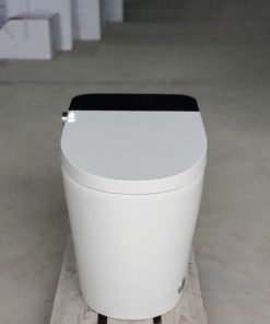 Bồn cầu thông minh SA8862