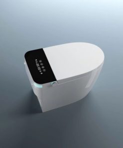 Bồn cầu thông minh SA 8862