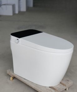 Bồn cầu thông minh SA8862