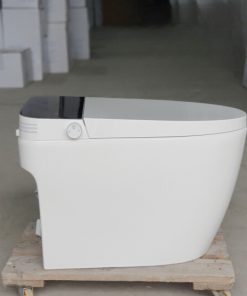 Bồn cầu thông minh SA8862