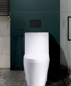 Bồn cầu 1 khối SA1212