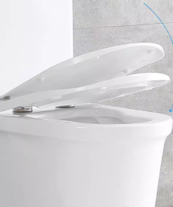 Bồn cầu 1 khối SA2101