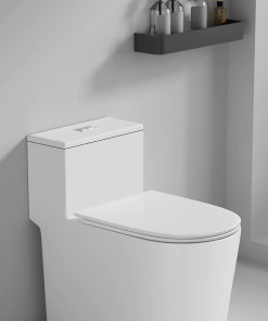 Bồn cầu 1 khối SA2207