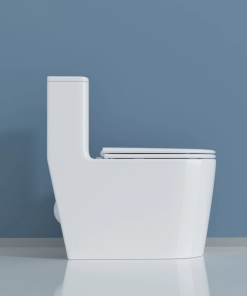 Bồn cầu 1 khối SA8008