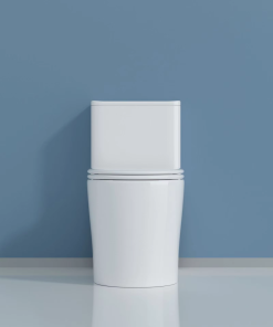 Bồn cầu 1 khối SA8008